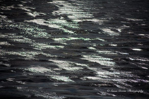 _MG_5579-light-play3