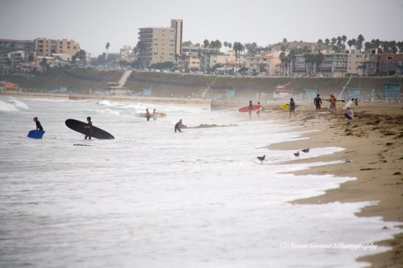 shoreline surfers
