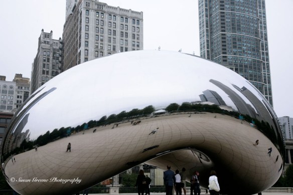 Chicago, the bean