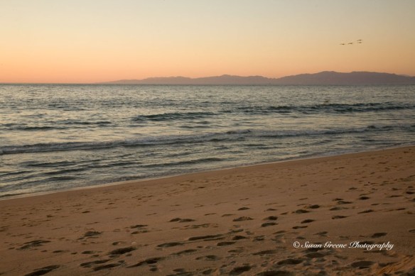 sunset landscape at beach