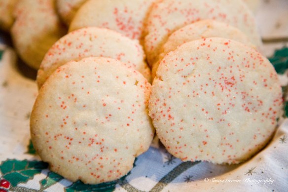 Holiday Sugar Cookies