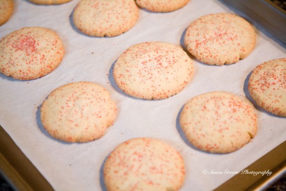 Holiday Sugar Cookies