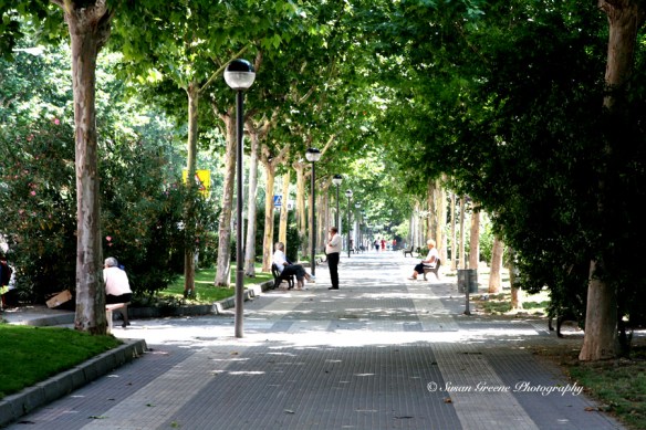 Park path leading line