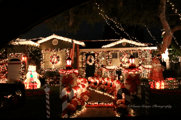 Christmas lights iso