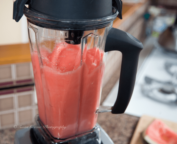 _MG_9105 watermelon gaz