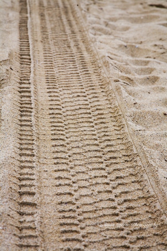 tire track in sand