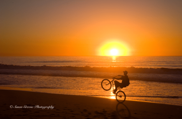 susnet wheelie rider on shore