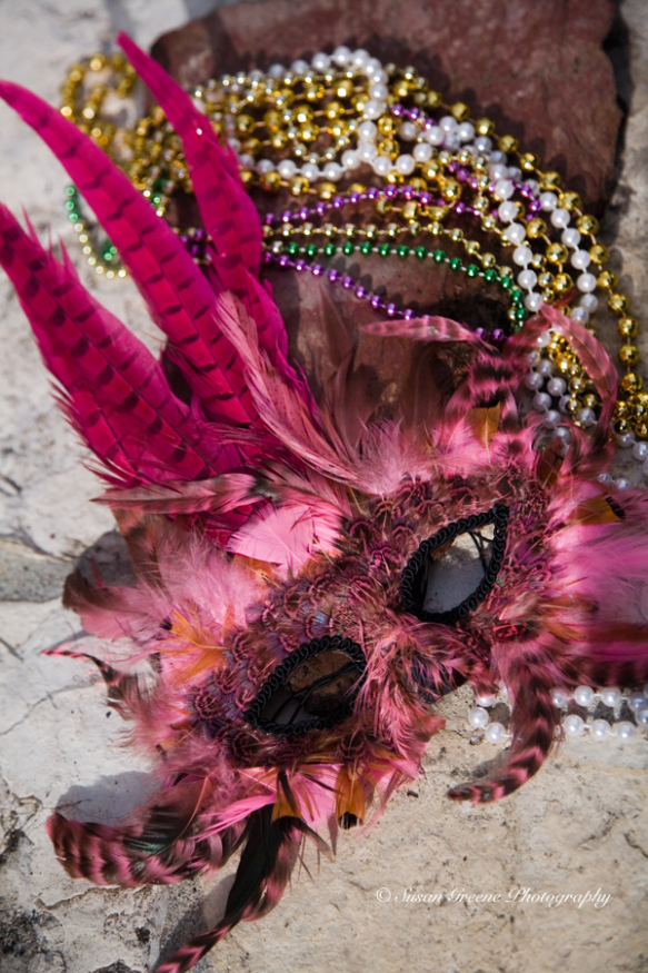 Mardi Gras mask