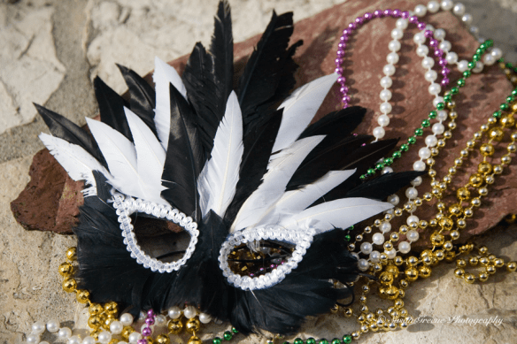 Mardis Gras mask